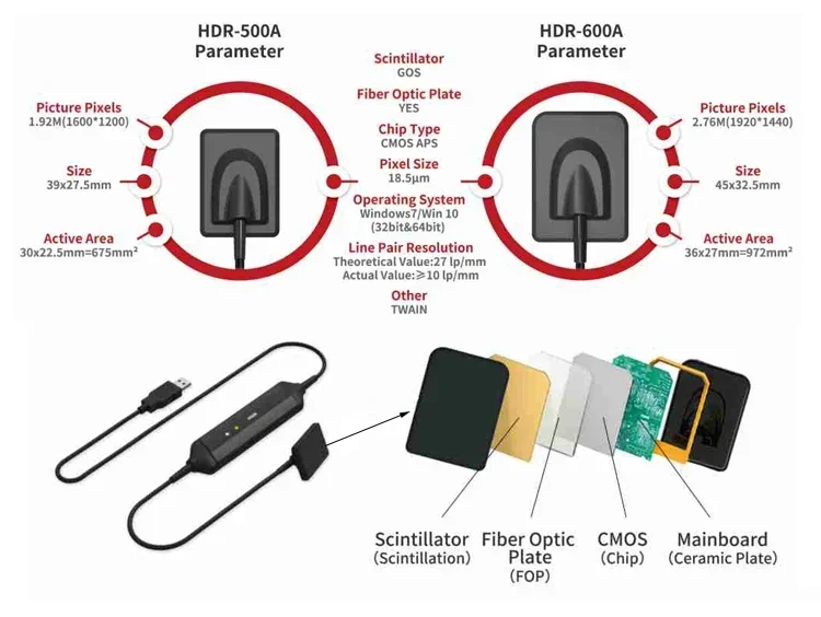 Sensore Radiografico Dentale D - Medical Supplies recensione e prezzo