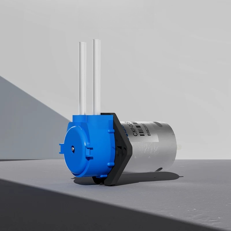 Piccola Mini Pompa Peristaltic - Mini Peristaltic Pump 12V recensione e prezzo
