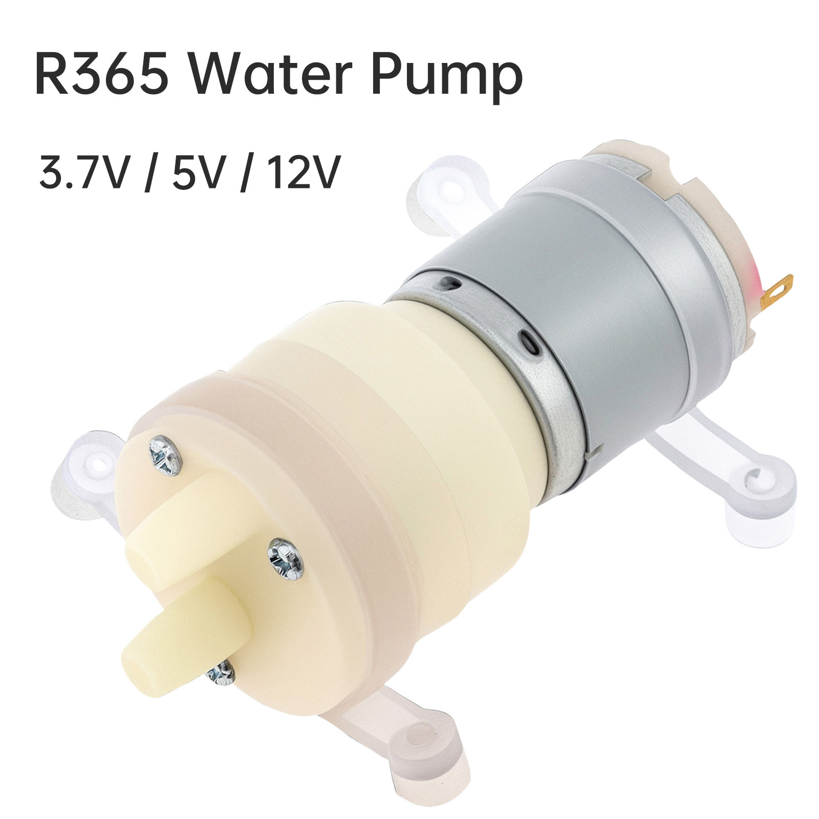 R365 Micro Pompa Acqua Motore  - Mini Peristaltic Pump 12V recensione e prezzo