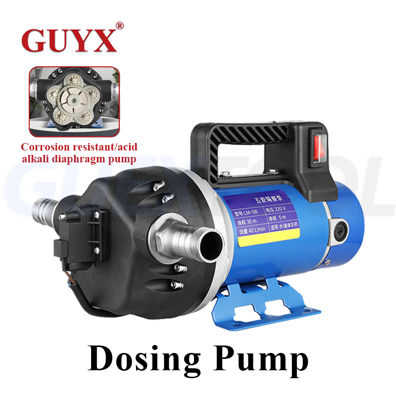 12V / 48-60V / 220V pompa di r - Mini Peristaltic Pump 12V recensione e prezzo