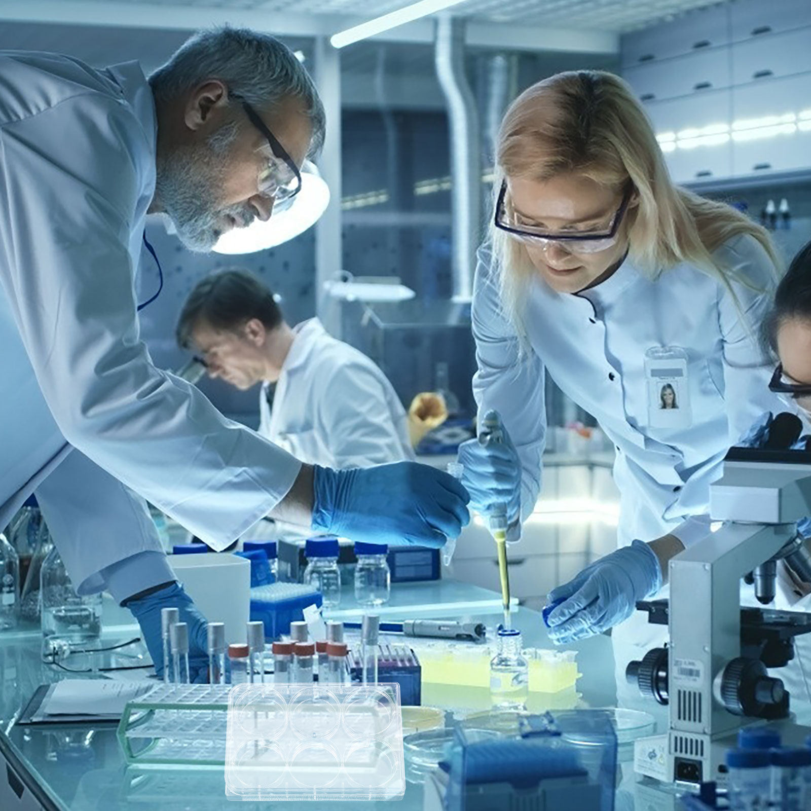 Piastra per coltura cellulare  - Lab Equipment recensione e prezzo