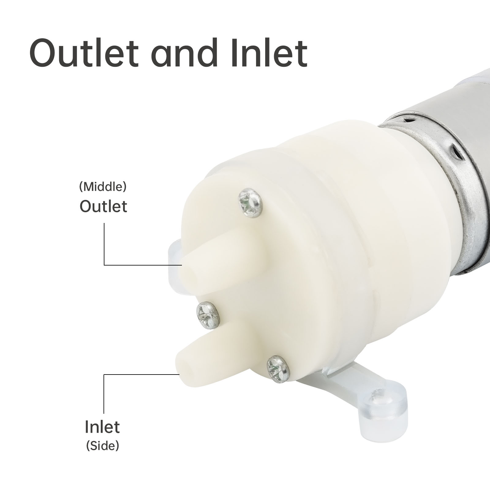 R365 Micro Pompa Acqua Motore  - Mini Peristaltic Pump 12V recensione e prezzo