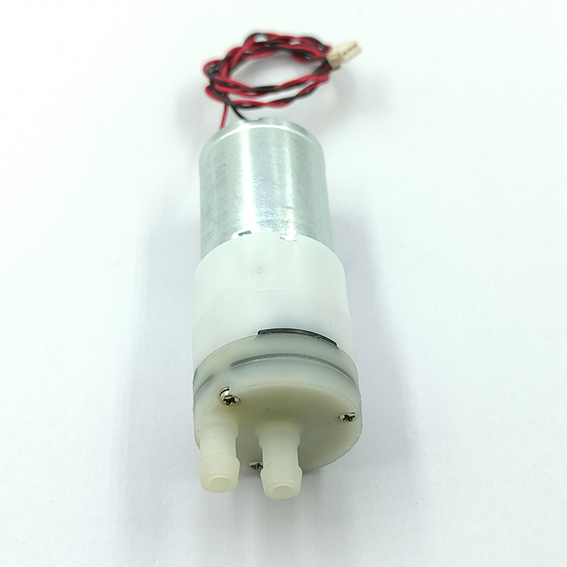 Pompa a Diaframma Piccola DC 1 - Mini Peristaltic Pump 12V recensione e prezzo