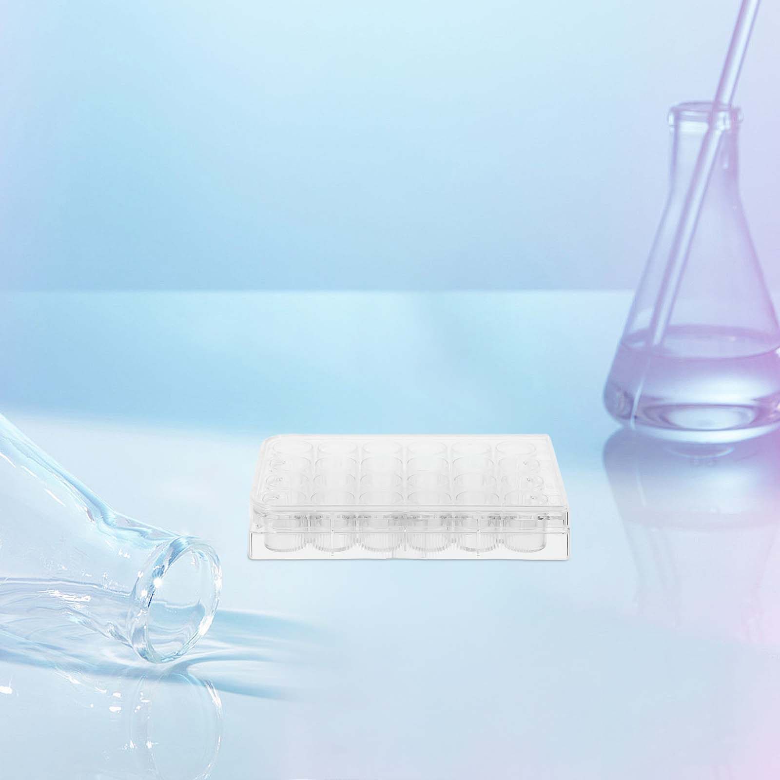 2 Pezzi Piastre per Colture Ce - Lab Equipment recensione e prezzo