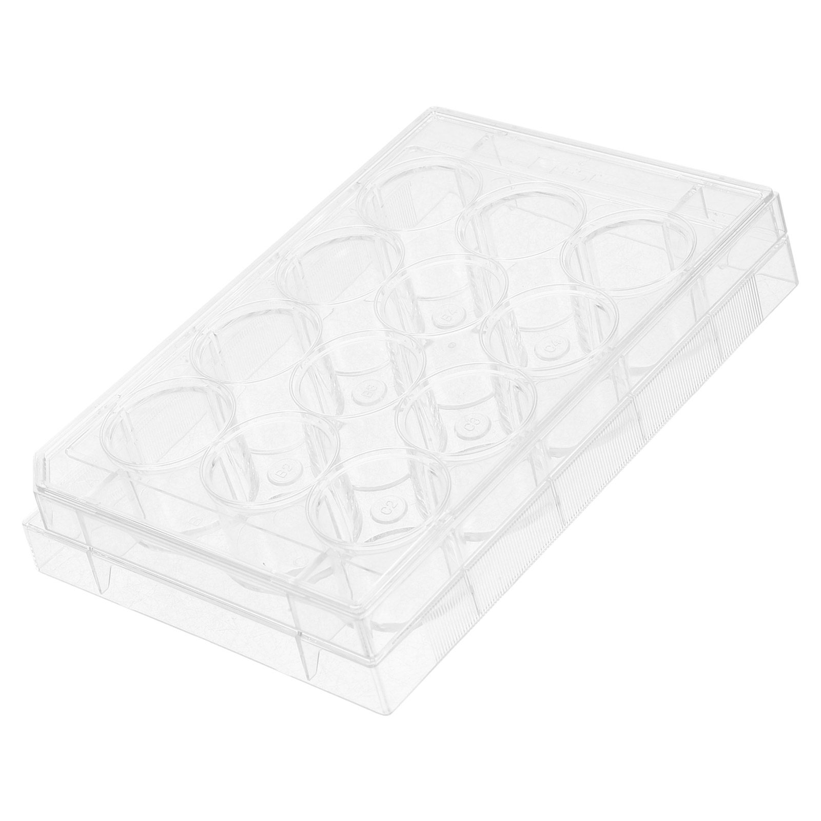 Piastra per coltura cellulare  - Lab Equipment recensione e prezzo