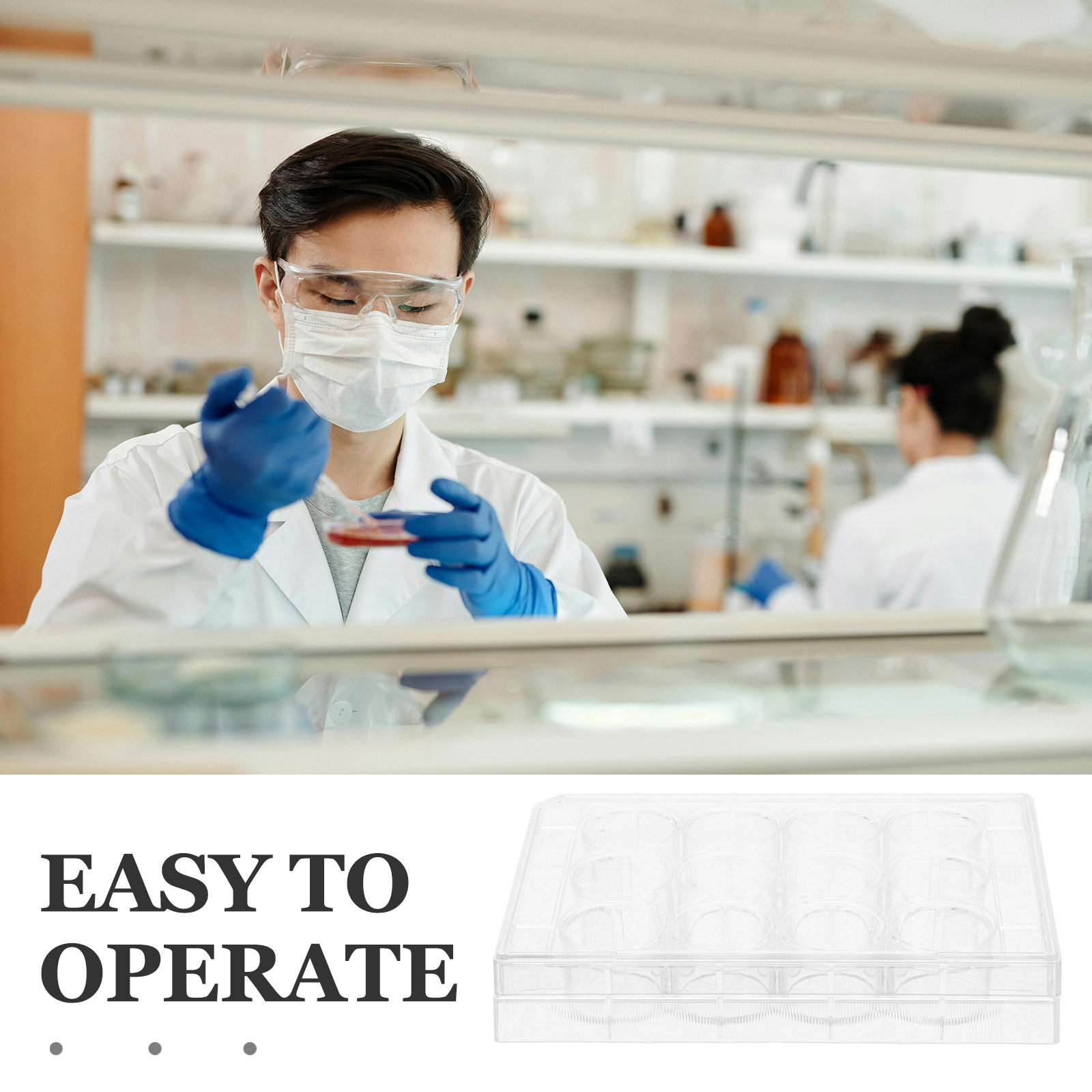 Piastra per coltura cellulare  - Lab Equipment recensione e prezzo
