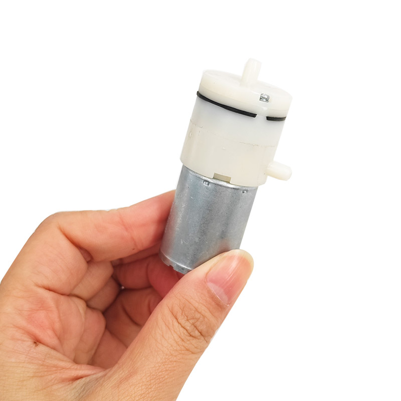 10 Pezzi P370 Mini Pompa Elett - Mini Peristaltic Pump 12V recensione e prezzo